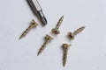 Several screws and a bit from a screwdriver lie on a light background. close-up Royalty Free Stock Photo