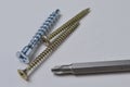 Several screws and a bit from a screwdriver lie on a light background. close-up Royalty Free Stock Photo