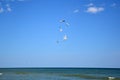 Several seagull birds fly over the sea and fight for food against the sky Royalty Free Stock Photo