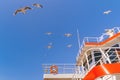 Several seagull flying above red and white big sea ferry Royalty Free Stock Photo