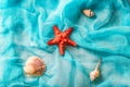 Seashells and starfish on cian background