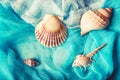 Seashells on cian and white cloth background