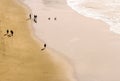 Silhouetted People Playing With a Dog on the Beach Royalty Free Stock Photo