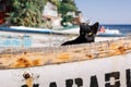 Several small fishing boats on the pebble beach of a colorful fishing village of Kavarna, Bulgaria, with a view of the turquoise Royalty Free Stock Photo