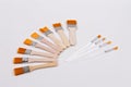Several small paint brushes were placed on a white background to facilitate background removal