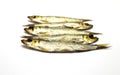 Several smoked European Sprats (Sprattus sprattus) Royalty Free Stock Photo