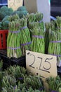 Several spears of fresh asparagus wrapped in rubber bands at farmers market