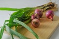 Several stems of onion plants and several whole red onions Royalty Free Stock Photo