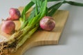 Several stems of onion plants and several whole red onions Royalty Free Stock Photo