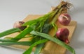 Several stems of onion plants and several whole red onions Royalty Free Stock Photo