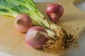 Several stems of onion plants and several whole red onions Royalty Free Stock Photo