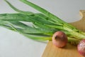 Several stems of onion plants and several whole red onions Royalty Free Stock Photo