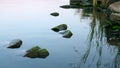 Several stones, overgrown with algae and look out of the water.