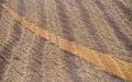 Several straw swaths, with wheat stubble in between