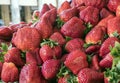 Several strawberries piled up at a market