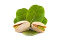 Several Tasty pistachio nuts with leaves isolated on white background