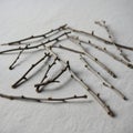Several thin twigs are scattered on Royalty Free Stock Photo