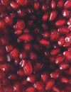 Top head shot of multiple red tiny pomegranate fruit
