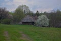 Several traditional Ukrainian old huts with thatched roofs.