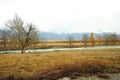 Several trees on the banks of a picturesque river flowing through the autumn steppe at the foot of a mountain range with snow-