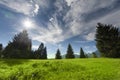 Several trees with mountain meadow clouds and sun