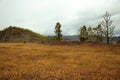 Several trees, yellowed from autumn, stand at the slope of an ancient burial mound in a picturesque valley surrounded by mountain