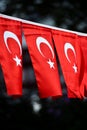 Turkey flags are seen during the country`s national day