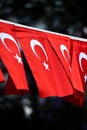 Turkey flags are seen during the country`s national day