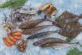 Several type of fresh fish on a mediterranean seafood market on ice over blue background Royalty Free Stock Photo