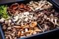 several types of medicinal mushrooms in a tray