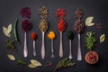 Several types of spices in metal spoons paprika, tomatoes, curry, beets, cumin, turmeric, fennel, spirulina