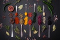 Several types of spices in metal spoons paprika, tomatoes, curry, beets, cumin, turmeric, fennel, spirulina