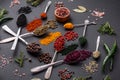 Several types of spices in metal spoons paprika, tomatoes, curry, beets, cumin, turmeric, fennel, spirulina