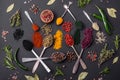 Several types of spices in metal spoons paprika, tomatoes, curry, beets, cumin, turmeric, fennel, spirulina