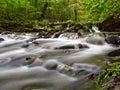 Several waterfalls cascade through the lush forest Royalty Free Stock Photo