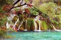 Several waterfalls of one of the most astonishing Plitvice Lakes, Croatia. A truly virgin and wonderful piece of nature Royalty Free Stock Photo