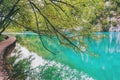 Several waterfalls of one of the most astonishing Plitvice Lakes, Croatia. A truly virgin and wonderful piece of nature Royalty Free Stock Photo