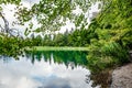 Several waterfalls of one of the most astonishing Plitvice Lakes, Croatia. A truly virgin and wonderful piece of nature Royalty Free Stock Photo