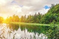 Several waterfalls of one of the most astonishing Plitvice Lakes, Croatia. A truly virgin and wonderful piece of nature Royalty Free Stock Photo