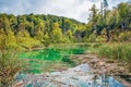 Several waterfalls of one of the most astonishing Plitvice Lakes, Croatia. A truly virgin and wonderful piece of nature Royalty Free Stock Photo