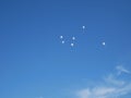 Several white balloons on a blue almost cloudless sky Royalty Free Stock Photo
