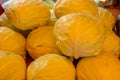 Several white cabbages in a market