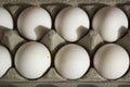 Several white eggs in an egg carton Royalty Free Stock Photo