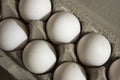 Several white eggs in an egg carton