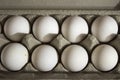 Several white eggs in an egg carton Royalty Free Stock Photo