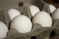 Several white eggs in an egg carton