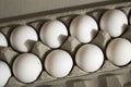 Several white eggs in an egg carton Royalty Free Stock Photo