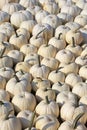 Several white pumpkins up for sale in the market.