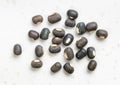 Several whole black urad beans close up on gray