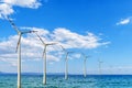Several wind sea turbine for green alternative sustainable electricity